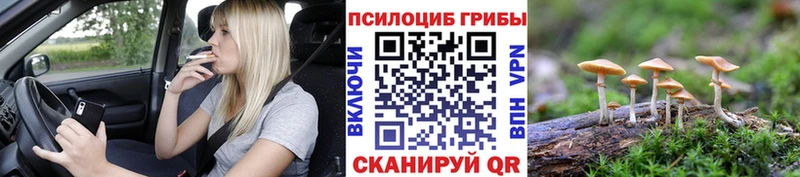 Галлюциногенные грибы Cubensis Махачкала