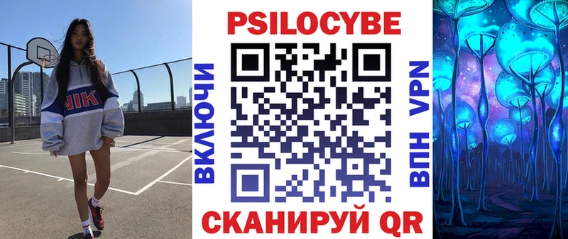 Псилоцибиновые грибы Psilocybine cubensis  Махачкала 